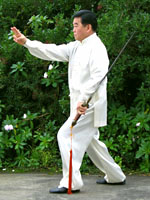 tai chi sword form